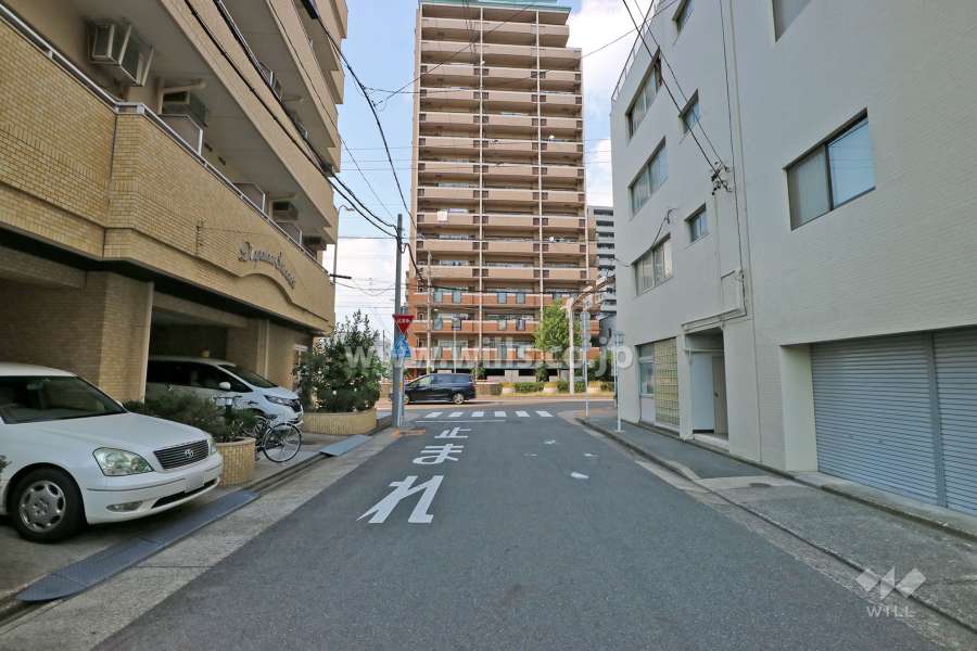 敷地東側の前面道路（南側から）