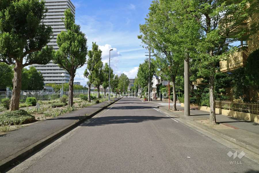 敷地西側の前面道路（南側から）