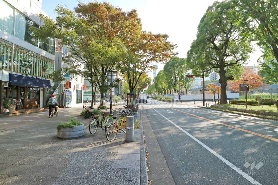 敷地西側の前面道路（北側から）