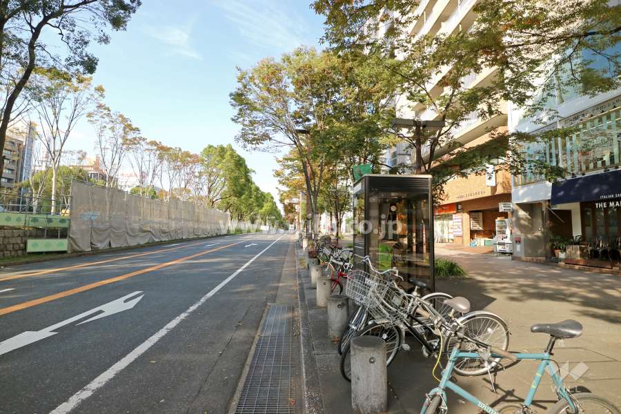 敷地西側の前面道路（南側から）