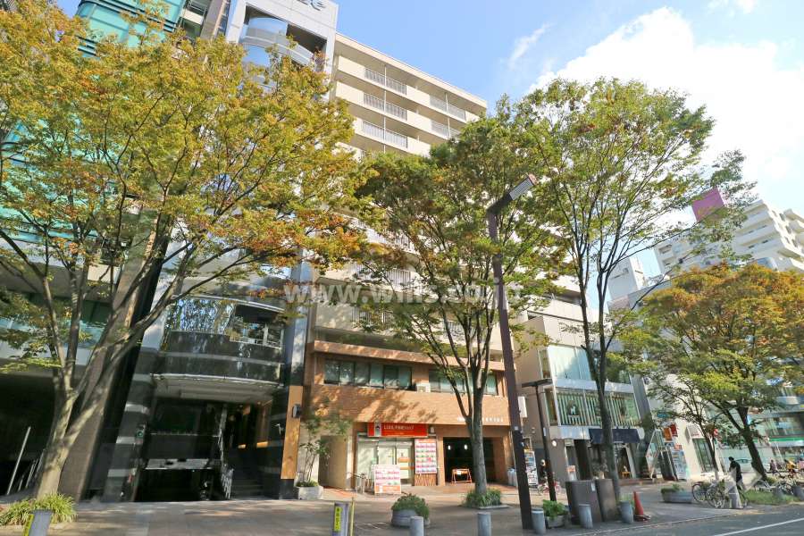 シティコーポ久屋の外観（北西側から）