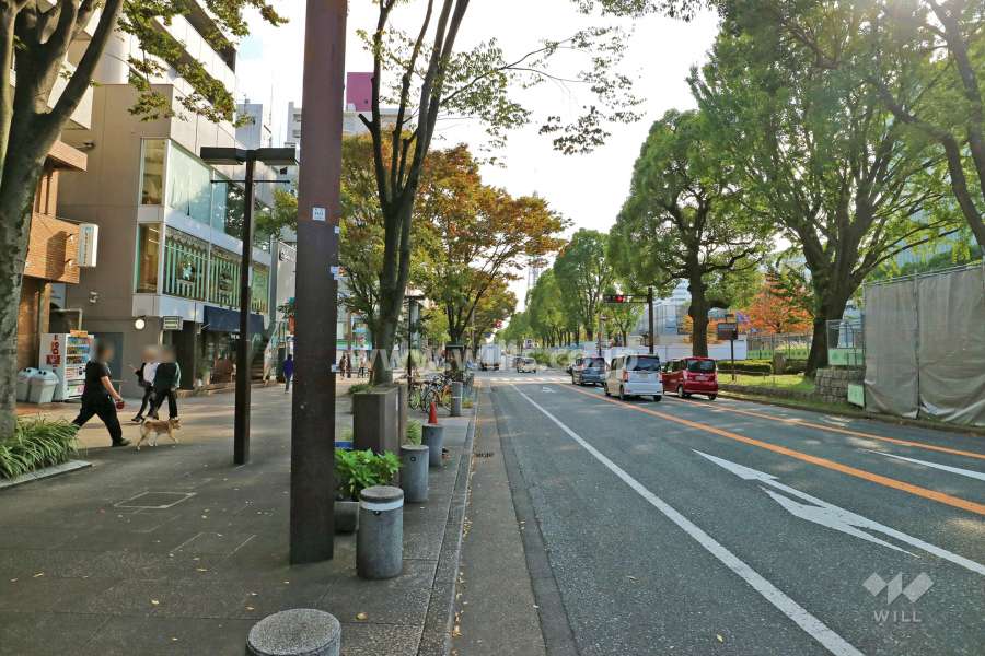 敷地西側の前面道路（北側から）