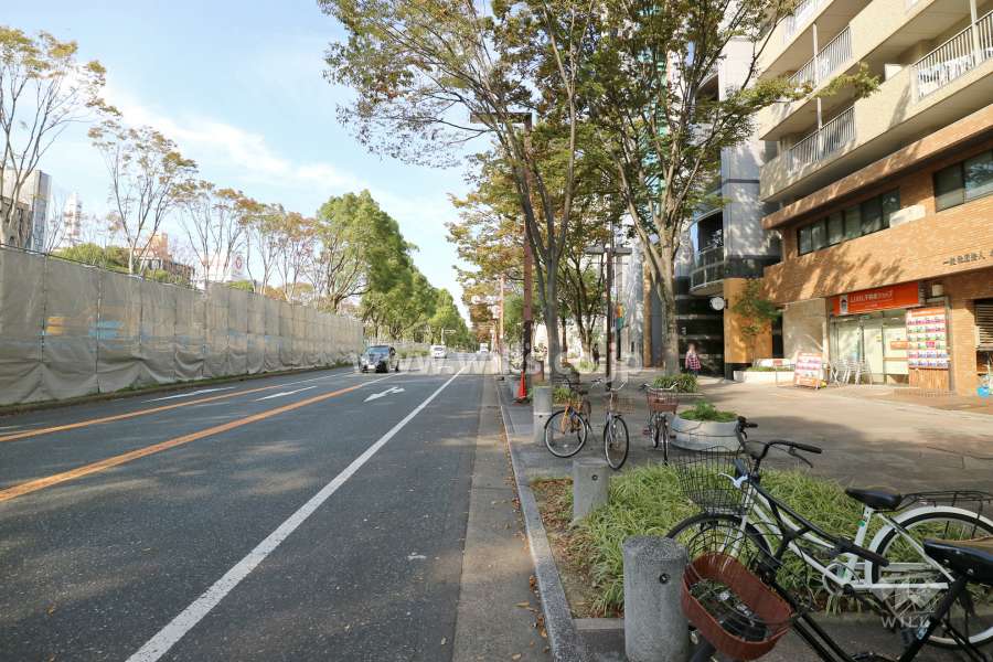 敷地西側の前面道路（南側から）