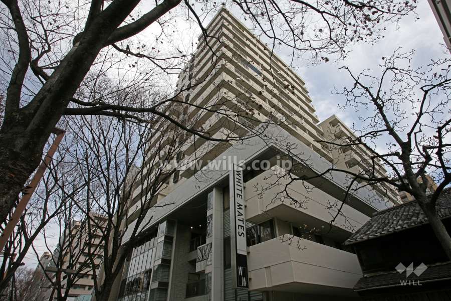 イトーピア久屋マンションの外観（南西側から）