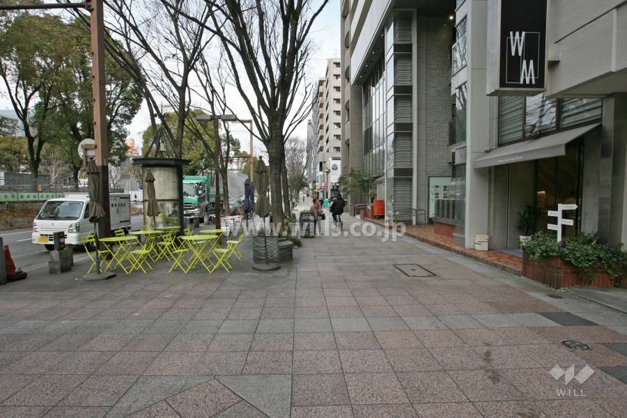 敷地南側の前面道路（南側から）