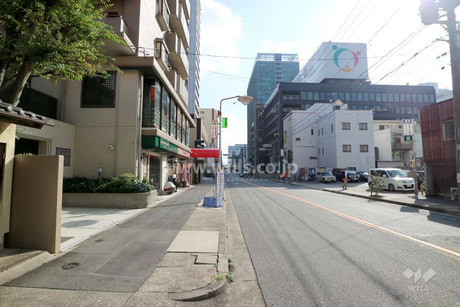 敷地西側の前面道路（北側から）