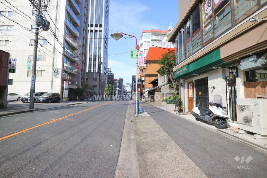 敷地西側の前面道路（南側から）