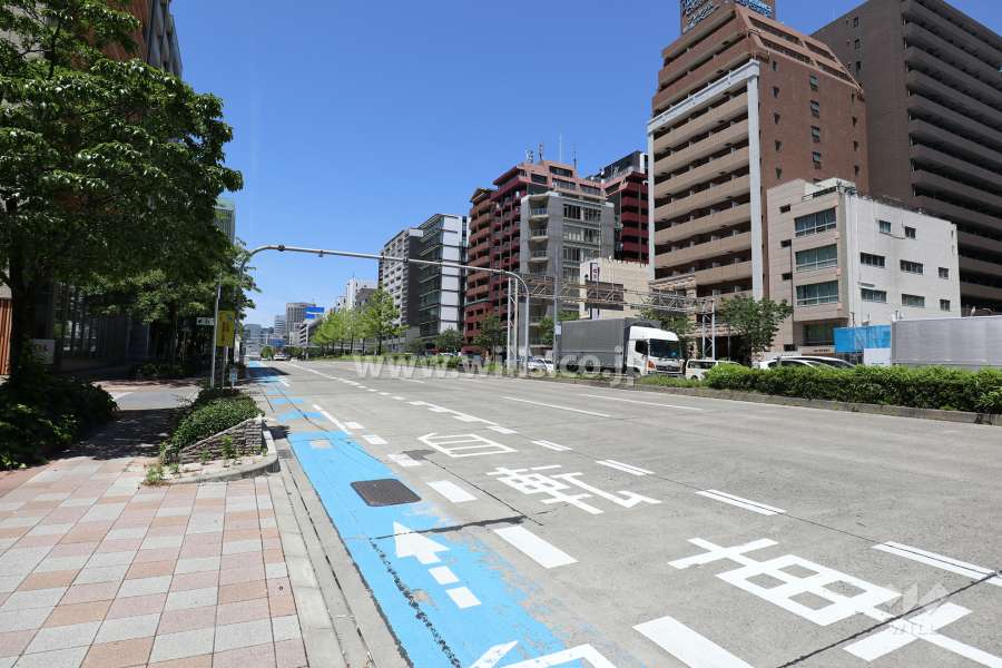 敷地南側の前面道路