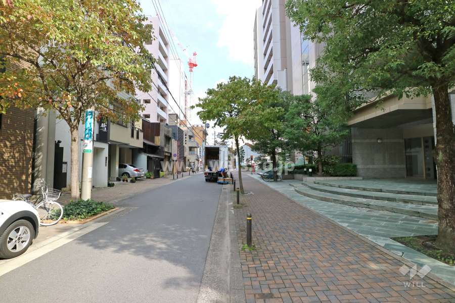 敷地北側の前面道路（西側から）