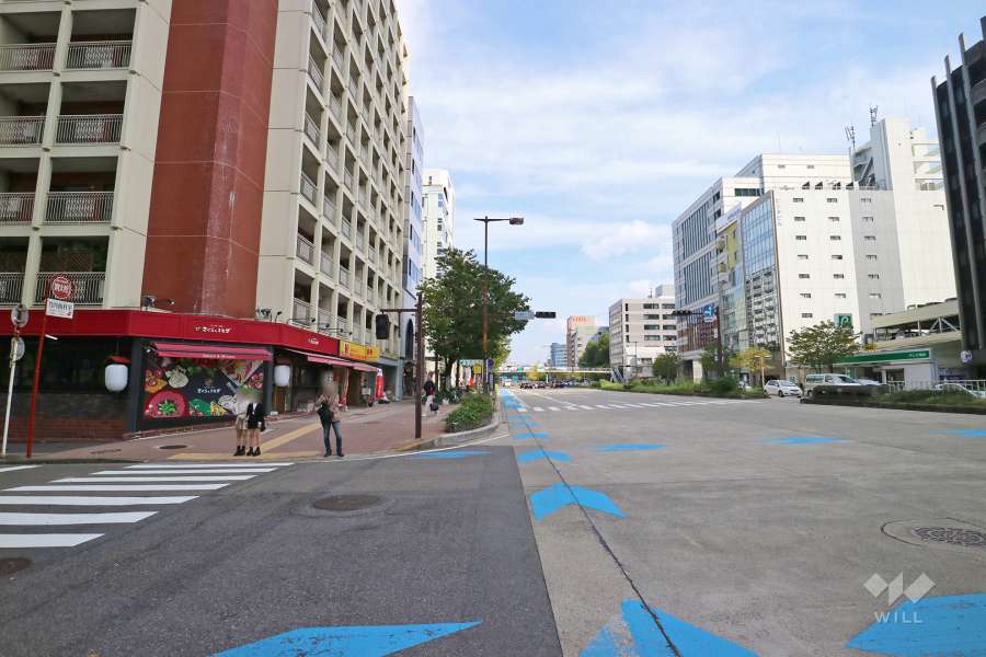 敷地南側の前面道路（西側から）