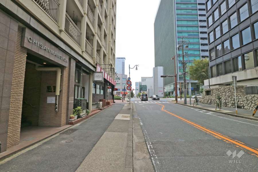 敷地西側の前面道路（北側から）