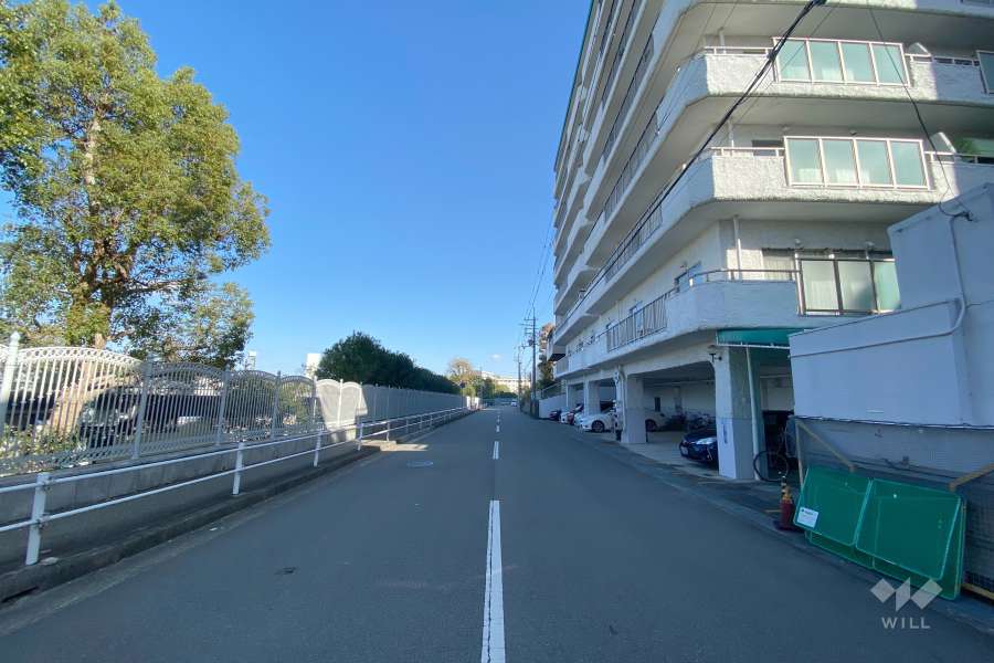 敷地北側の前面道路。道を挟んで「阪神競馬場」があります。