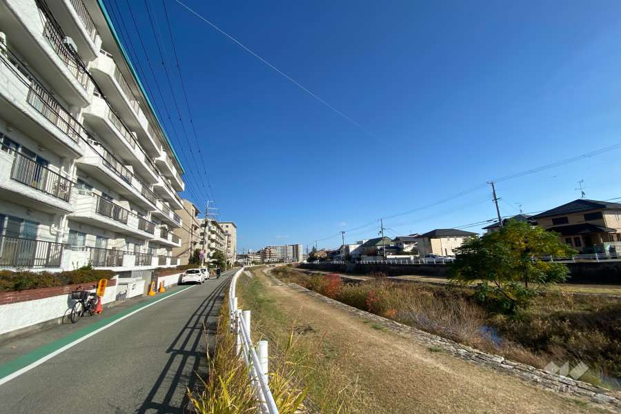 南側には道を挟んで仁川が流れています。