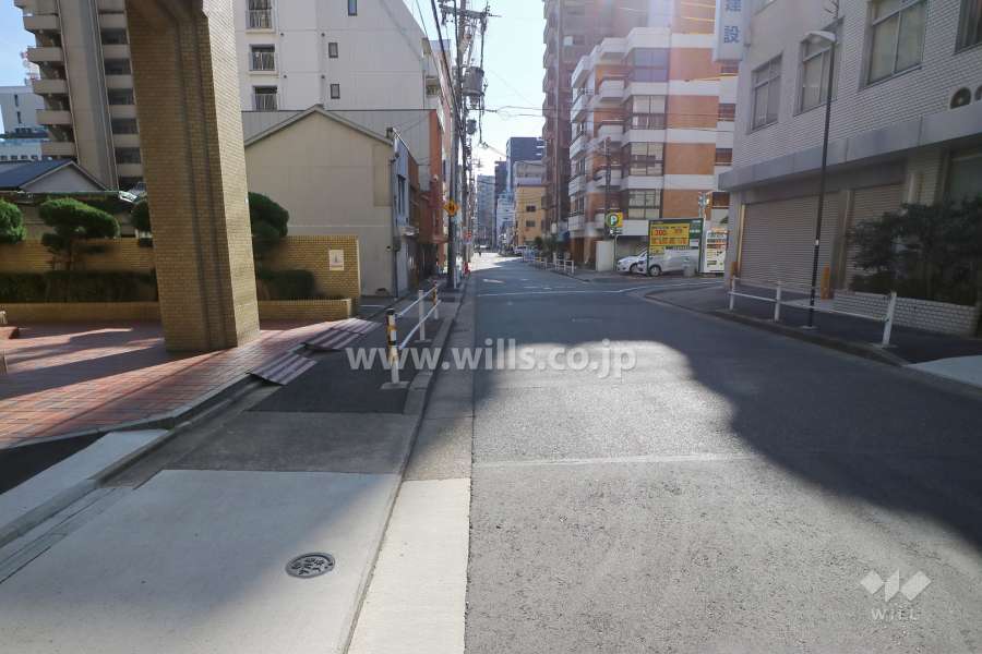 敷地の西側前面道路（北側から）