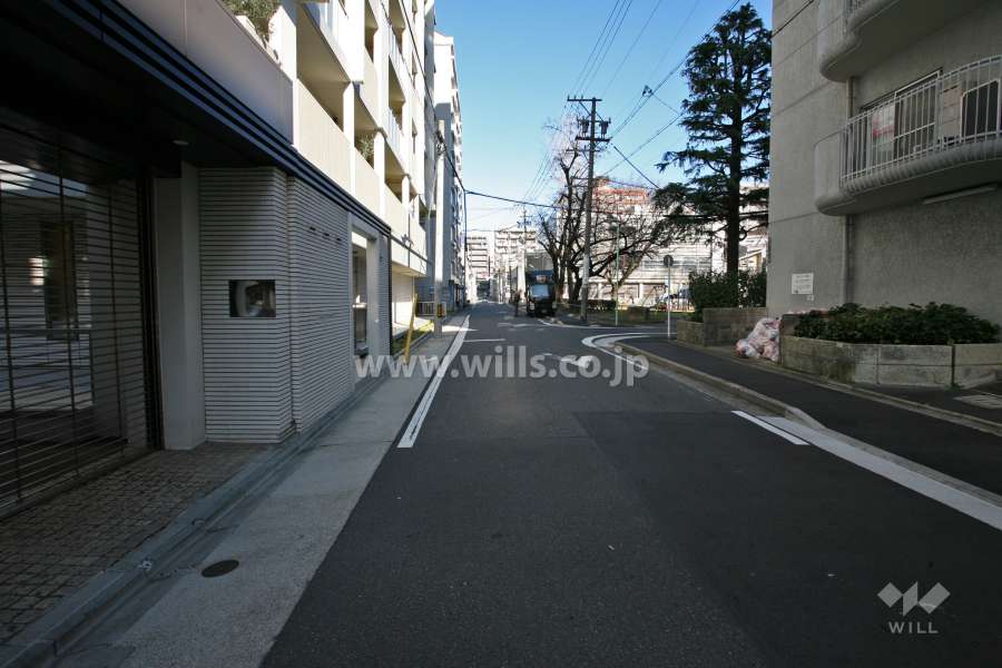 敷地東側の前面道路(南側から)