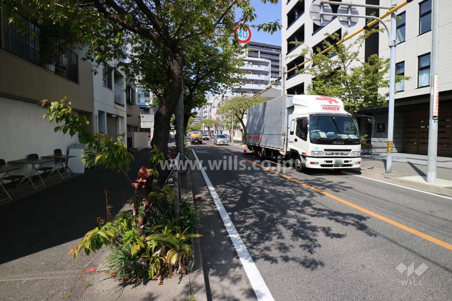 敷地東側の前面道路（南側から）
