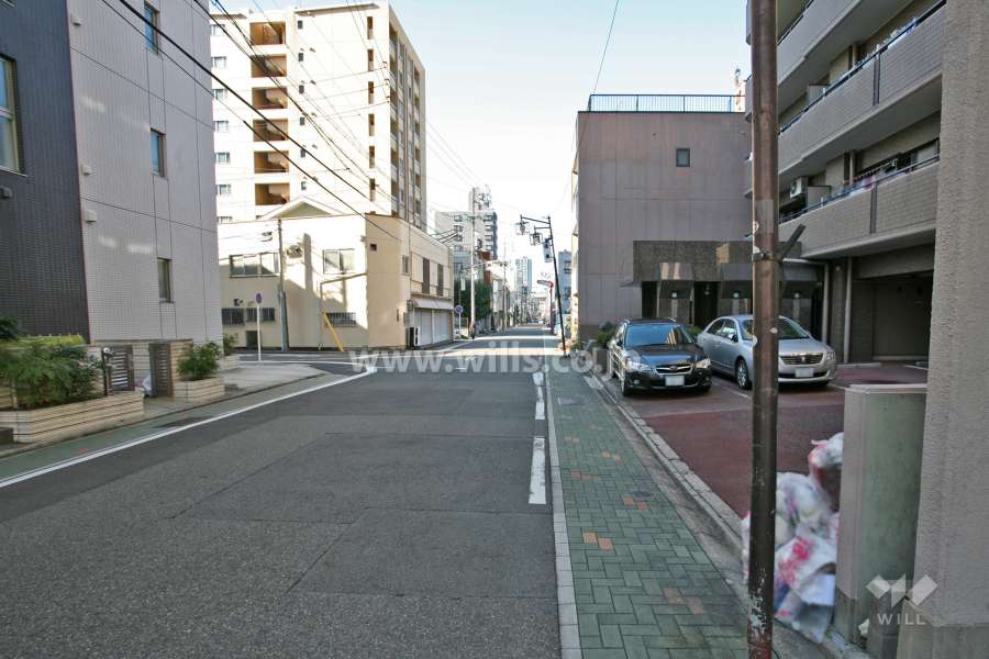 敷地南側の前面道路(東側から)