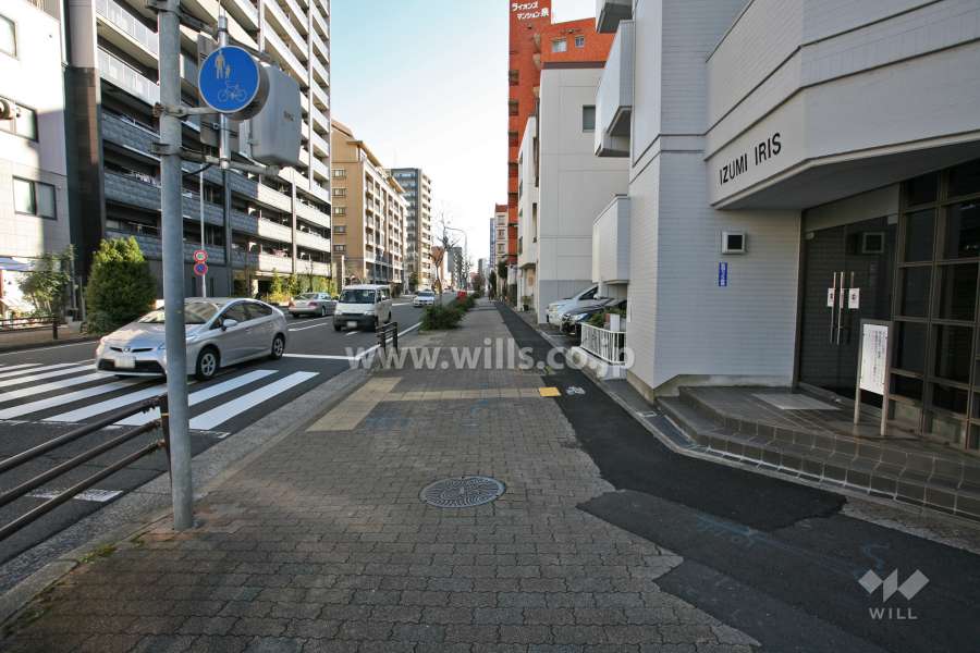 敷地北側の前面道路(西側から)