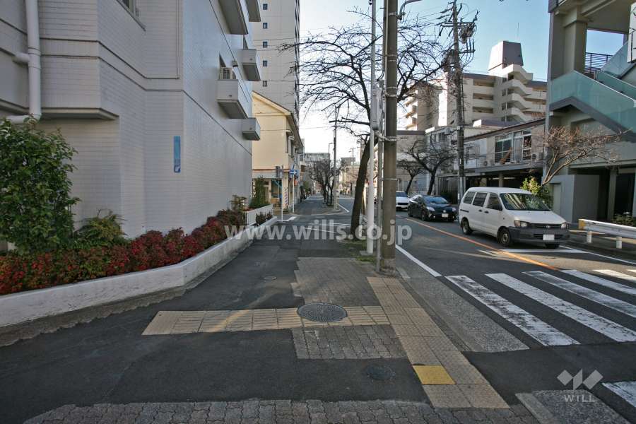 泉アイリス西側の前面道路(北側から)