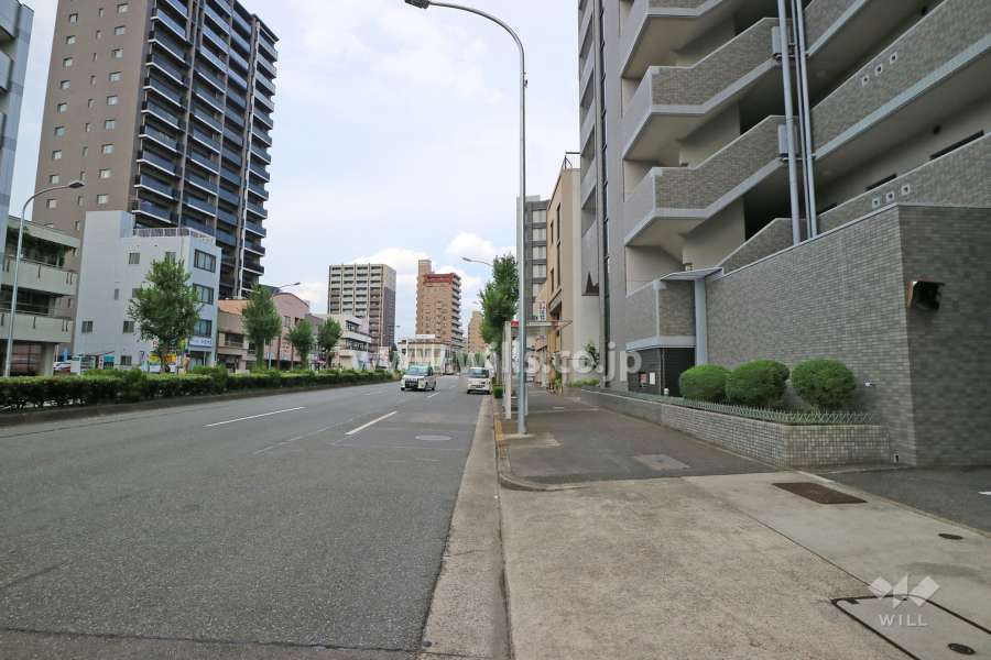 敷地北側の前面道路（西側から）