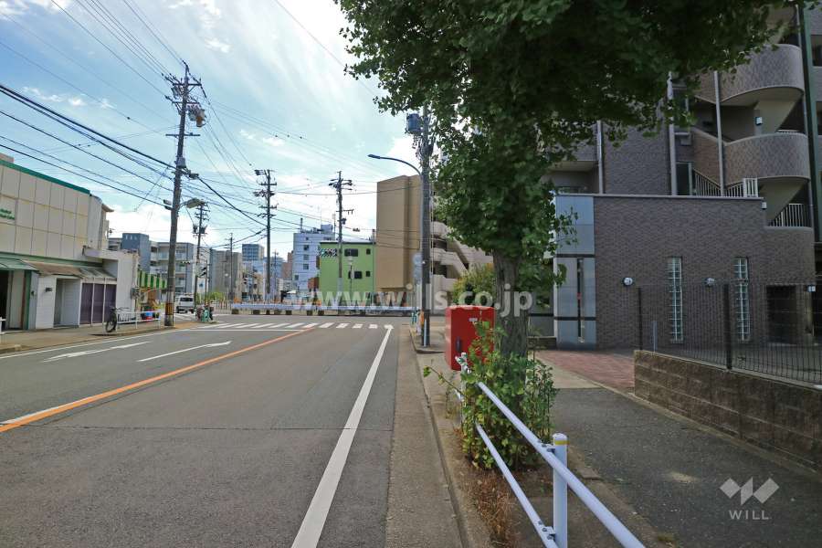 敷地東側の前面道路（北側から）