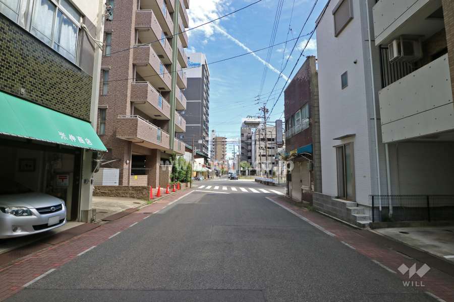 敷地南側の前面道路（西側から）
