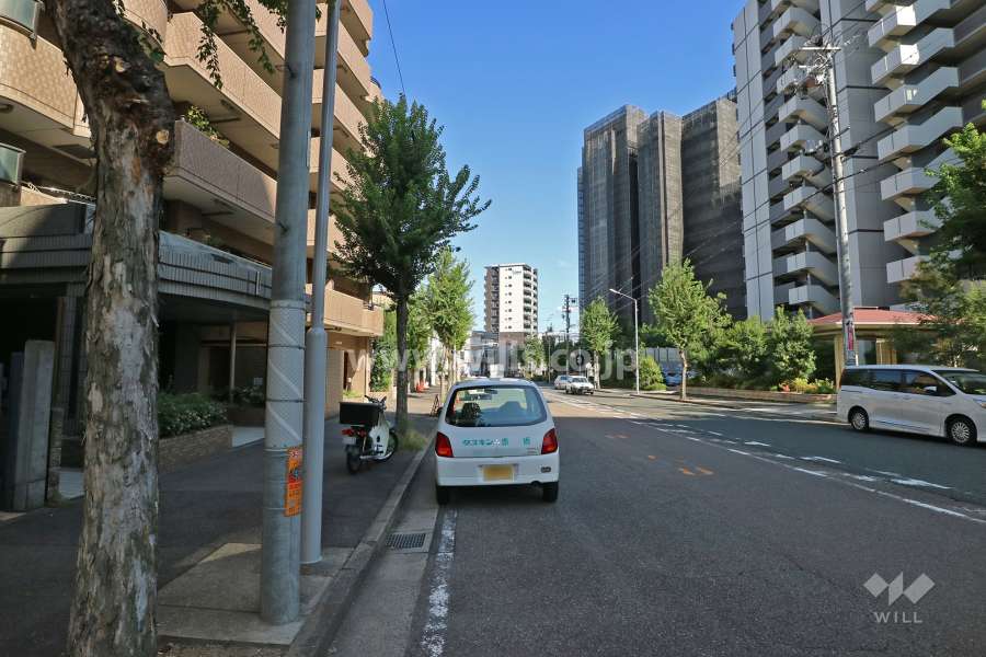 敷地南側の前面道路（西側から）