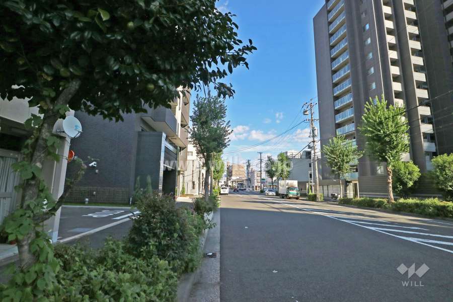 敷地南側の前面道路（西側から）
