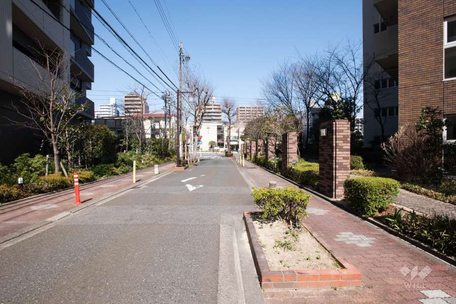 敷地西側の前面道路（南側から）