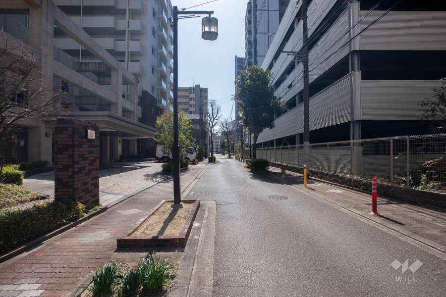 敷地西側の前面道路（北側から）