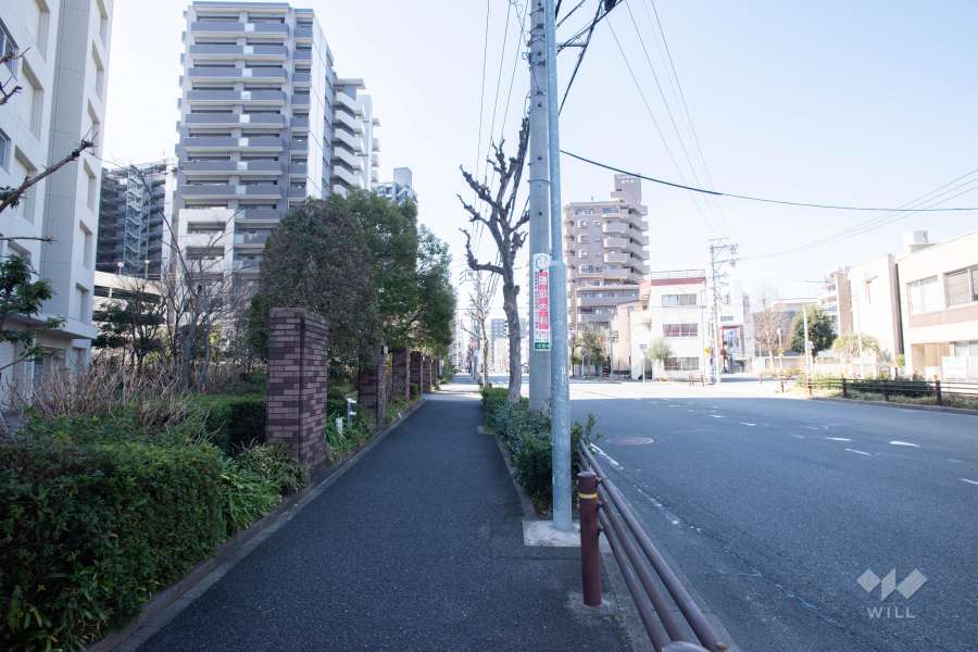 敷地北側の前面道路（東側から）