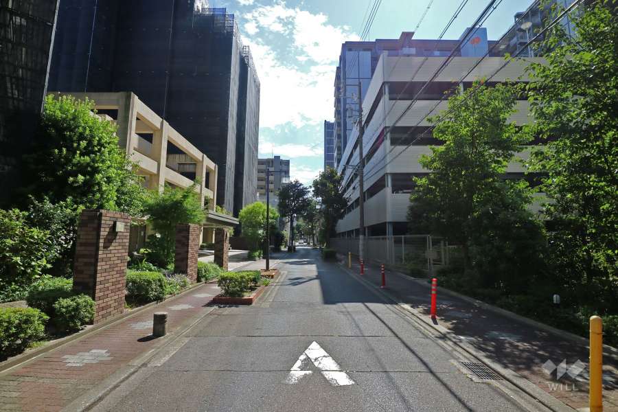 敷地西側の前面道路（北側から）