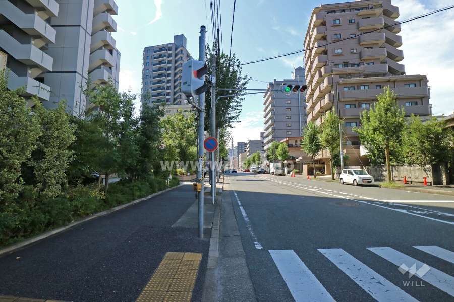 敷地北側の前面道路（東側から）