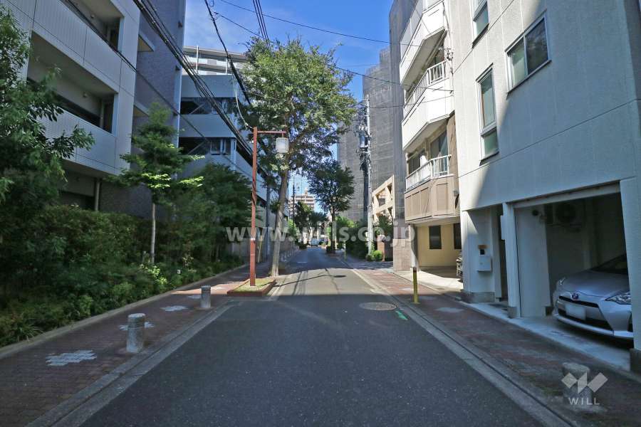 敷地東側の前面道路（南側から）