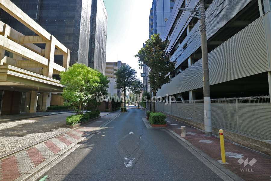 敷地東側の前面道路（北側から）