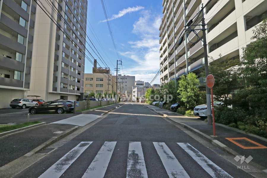 敷地南側の前面道路（東側から）