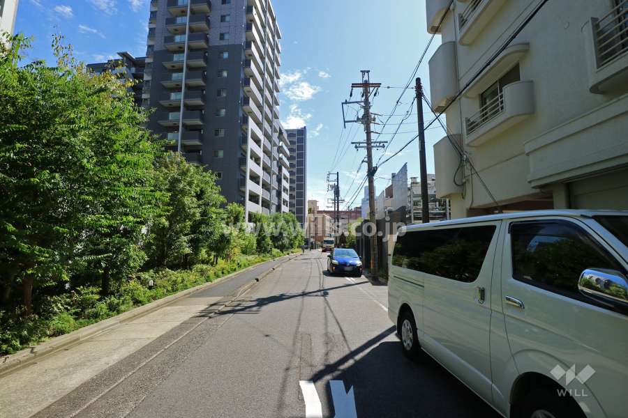 敷地西側の前面道路（北側から）