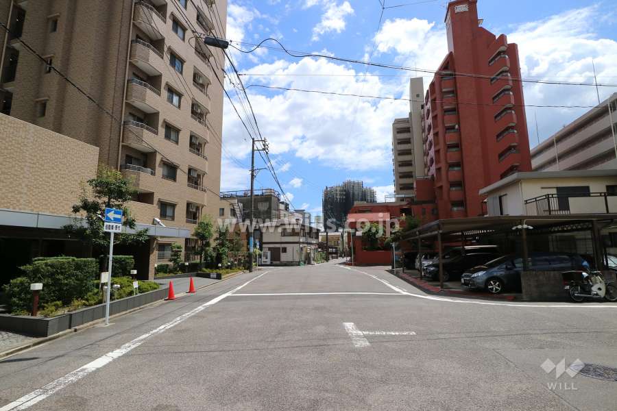 敷地西側の前面道路（北側から）