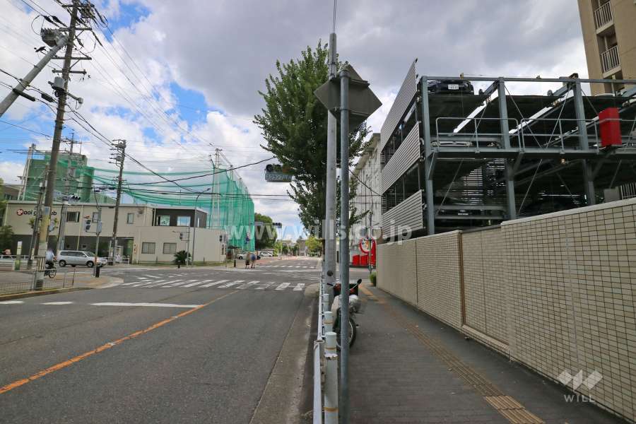 敷地北側の前面道路（西側から）