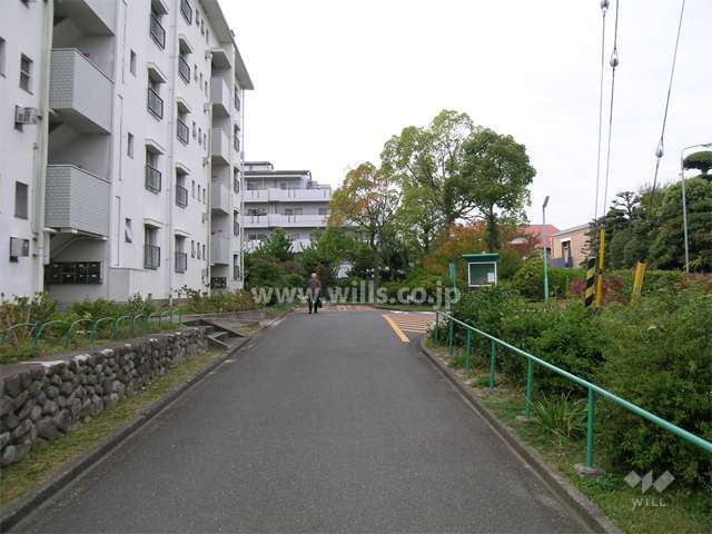 敷地周囲は緑豊かです