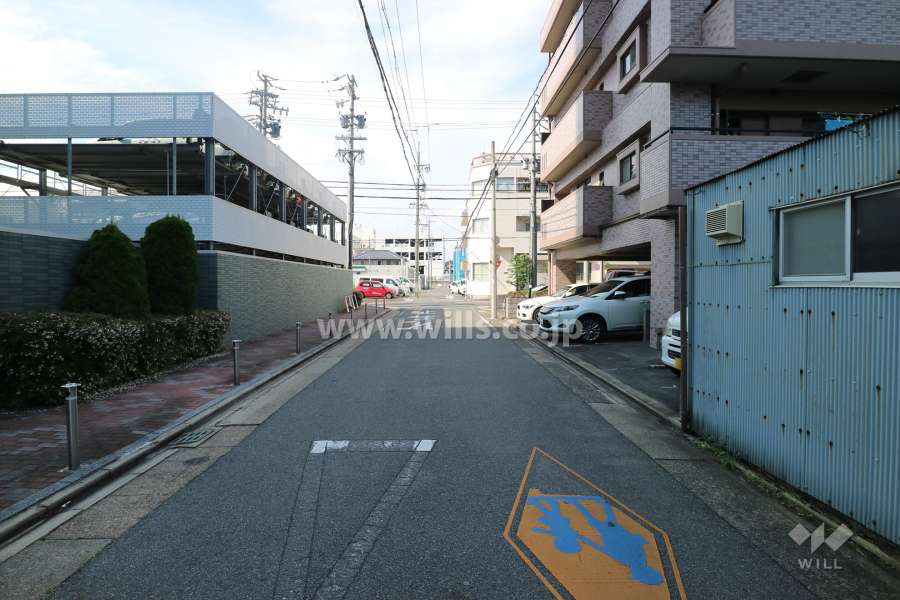 敷地の西側前面道路（南側から）