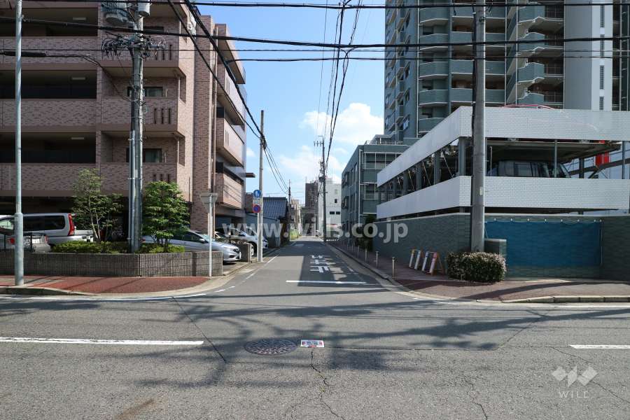 敷地の西側前面道路（北側から）