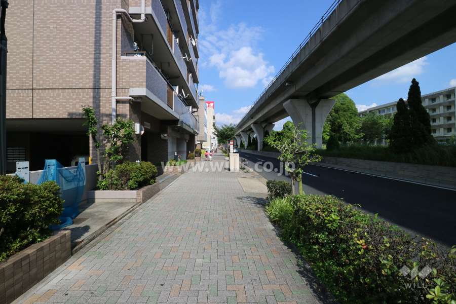 敷地の南側前面道路（西側から）