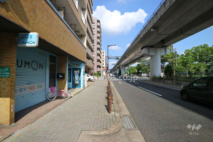 敷地南側の前面道路（西側から）