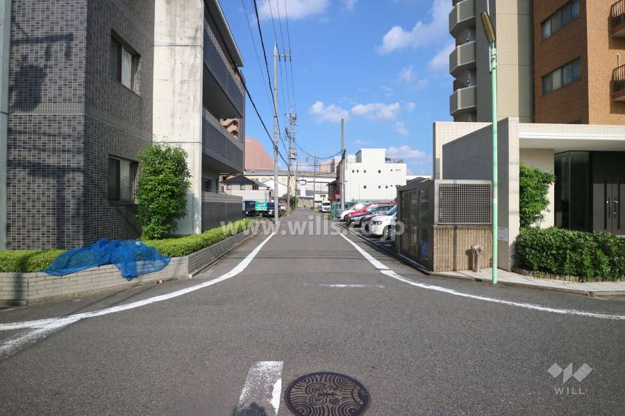 敷地の北側前面道路（西側から）