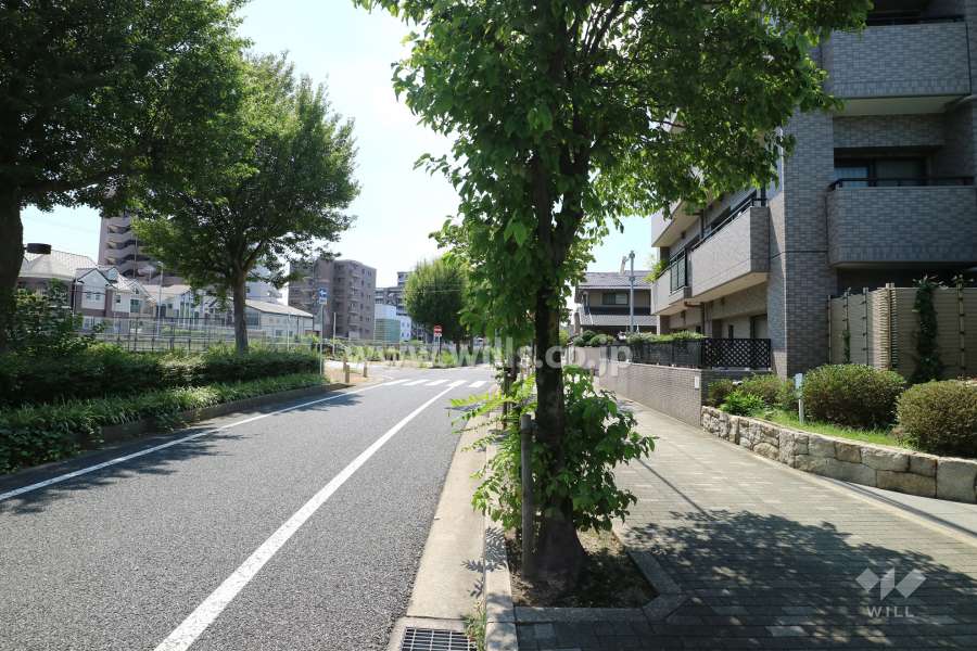 敷地東側の前面道路（北側から）