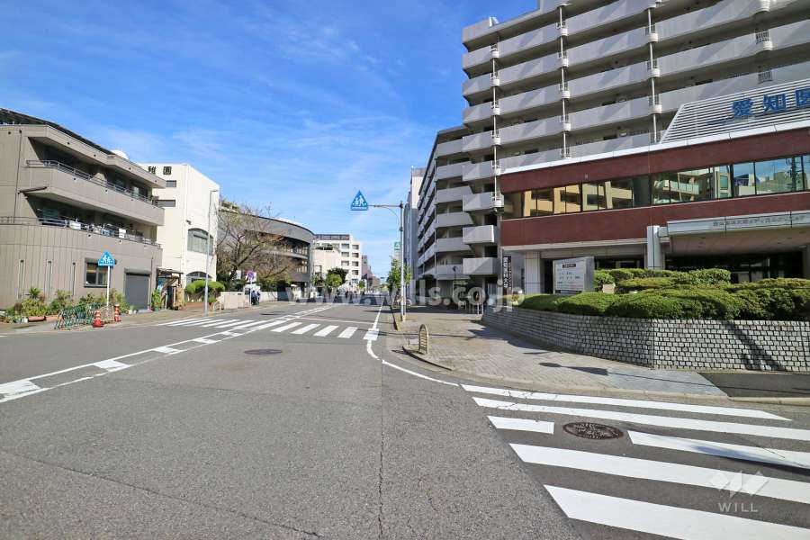 敷地北側の前面道路（西側から）