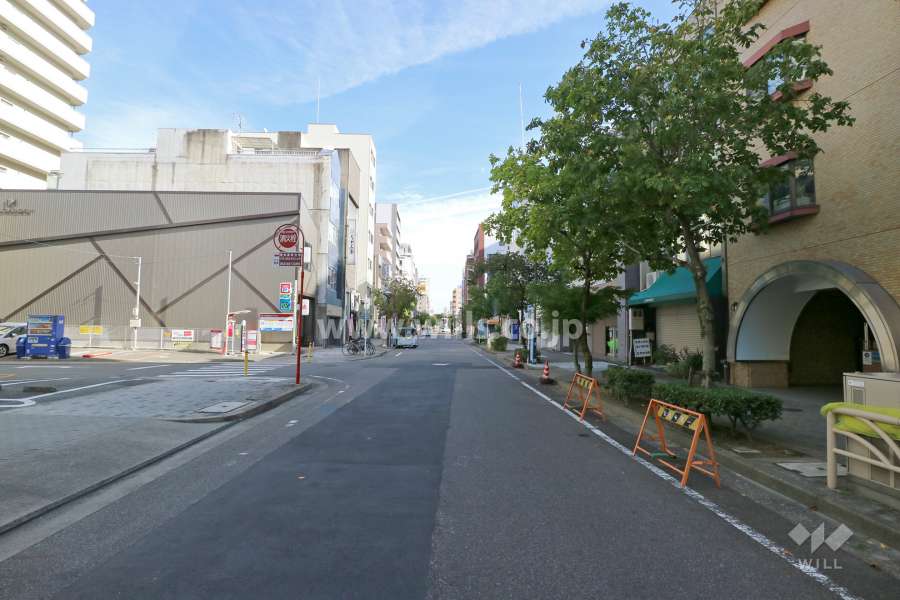 敷地北東側の前面道路（北西側から）