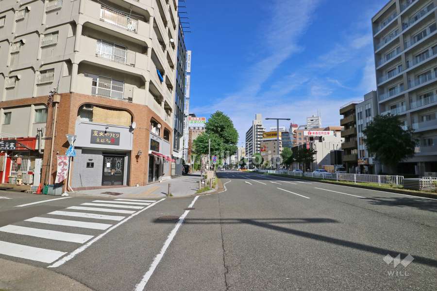 敷地北側の前面道路（西側から）