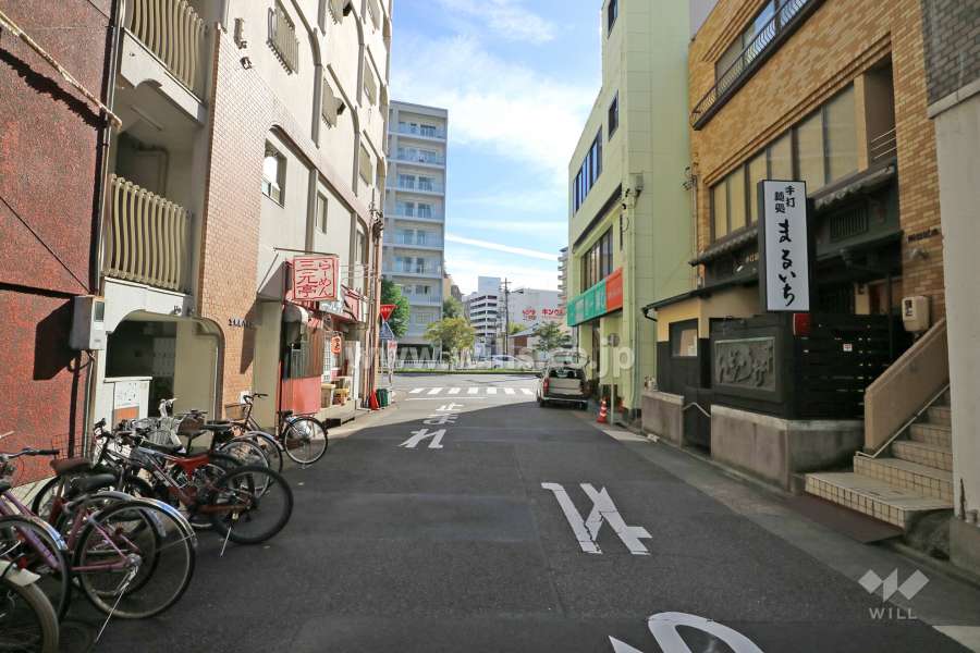 敷地西側の前面道路（北側から）